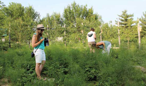 Community Food Forests: Building a Core Group Image